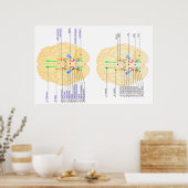 basis van afbeelding in het engels en japans poster (Keuken)