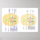 basis van afbeelding in het engels en japans poster (Voorkant)