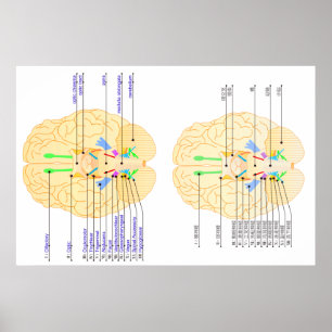basis van afbeelding in het engels en japans poster