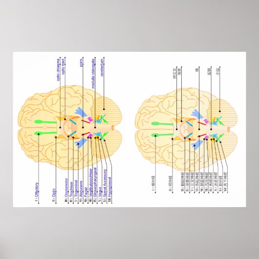 basis van afbeelding in het engels en japans poster (Voorkant)