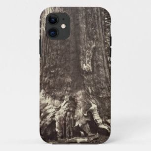 Basis van de Grizzly Giant, uit 'The Yosemite Book Case-Mate iPhone Case