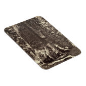 Basis van de Grizzly Giant, uit 'The Yosemite Book Magneet (Rechterzijde)