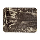 Basis van de Grizzly Giant, uit 'The Yosemite Book Magneet (Horizontaal)