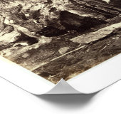 Basis van de Grizzly Giant, uit 'The Yosemite Book Poster (Hoek)