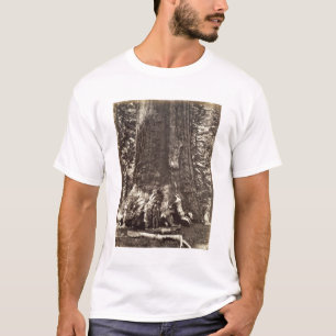 Basis van de Grizzly Giant, uit 'The Yosemite Book T-shirt