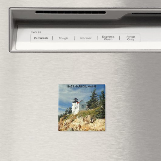 BASISHARBOR, MAINE MAGNEET (Insitu (Vaatwasser))