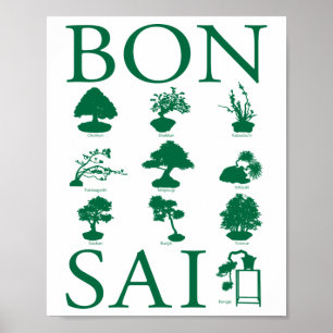 Basisstijlen van Bonsai-boom Poster