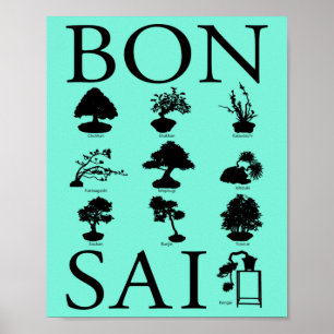 Basisstijlen van Bonsai-boom Poster