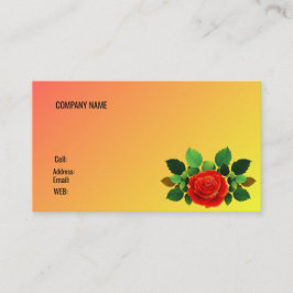 BASISVISITEKAARTJE SJABLOON VISITEKAARTJE