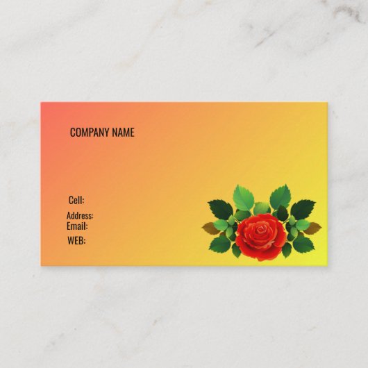 BASISVISITEKAARTJE SJABLOON VISITEKAARTJE (Voorkant)