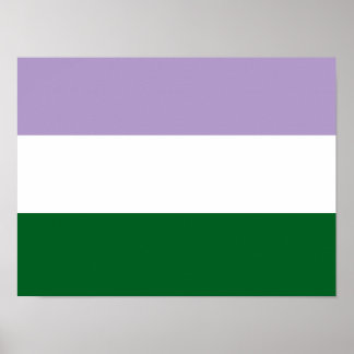 Basisvlag Genderqueer Horizontaal Poster