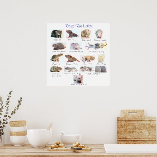 Basiswielkleuren Poster (Keuken)