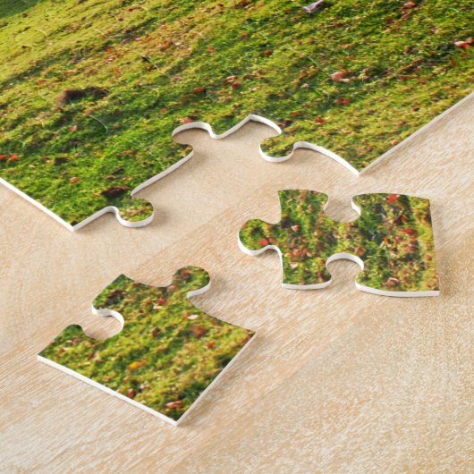 baskenland latxa - schapen legpuzzel (Zijkant)