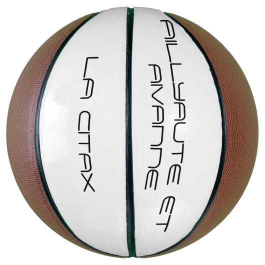 BASKET BASKETBAL (Verticaal)