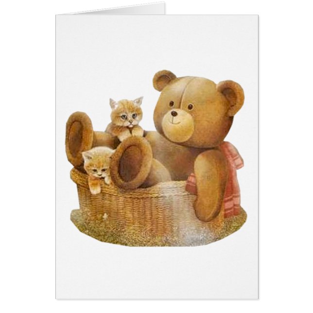 Basket Buddies (Voorkant)