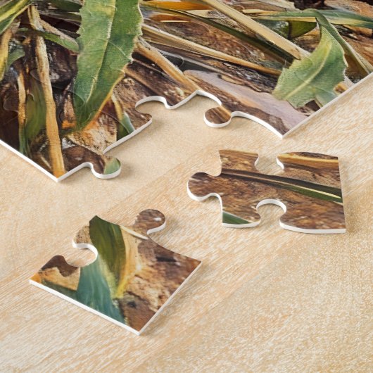Basket Evening Primrose in Valley of Fire, Nevada, Legpuzzel (Zijkant)