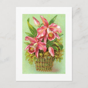 Basket met roze orchideeën Vintage Image Briefkaar Briefkaart