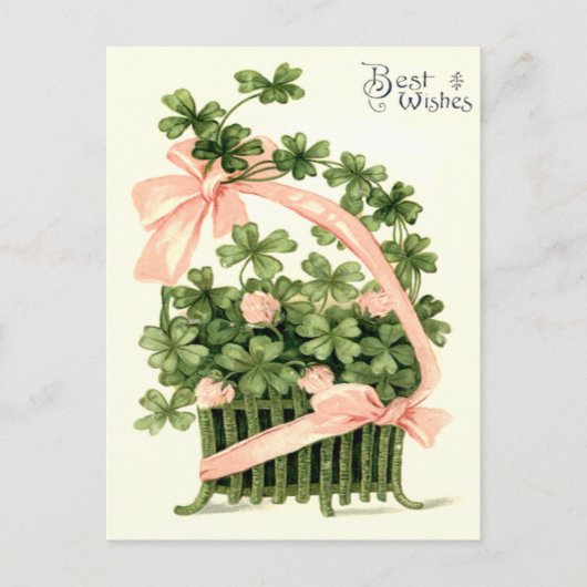 Basket roze lint Shamrock Four Leaf Clover Briefkaart (Voorkant)