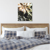 Basket Star (Gorgonocephalus eucnemis) Canvas Afdruk (Insitu (Slaapkamer))