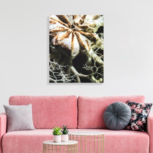 Basket Star (Gorgonocephalus eucnemis) Canvas Afdruk (Insitu (Woonkamer))