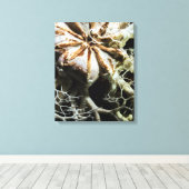 Basket Star (Gorgonocephalus eucnemis) Canvas Afdruk (Insitu (Houten vloer))