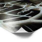 Basket Star (Gorgonocephalus eucnemis) - Fine Art Foto Afdruk (Hoek)