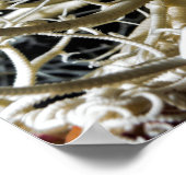 Basket Star (Gorgonocephalus eucnemis) - Poster (Hoek)