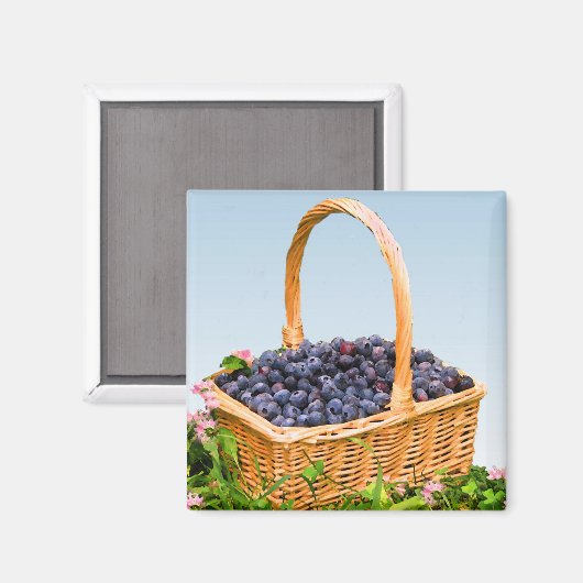 Basket van blauwe bessen magneet (Voorkant / Achterkant)