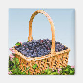 Basket van blauwe bessen magneet (Voorkant)