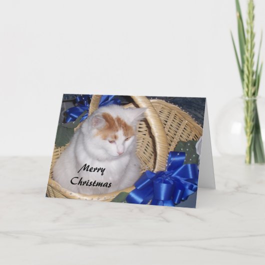 BASKET VULT MET PURRRFECT CHRISTMAS WISHES FEESTDAGEN KAART (Voorkant)