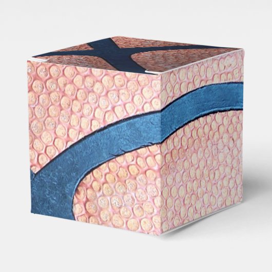 Basketbal gunstboxen bedankdoosjes (Voorkant Zijde)