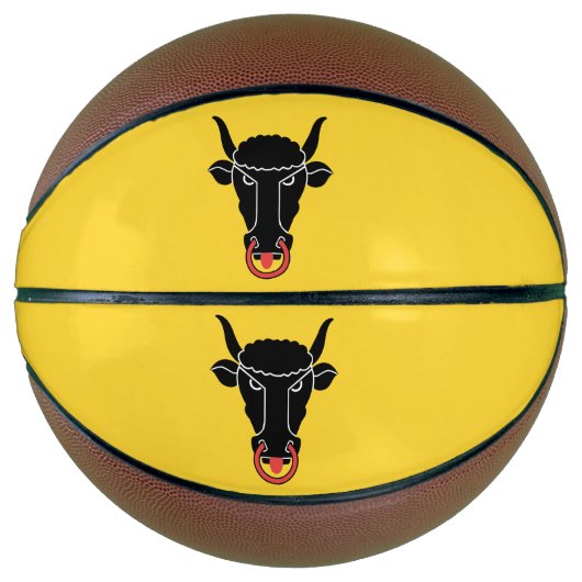 Basketbal in ware grootte met vlag van kanton Uri (Voorkant)