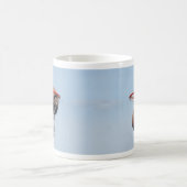 Basketbal Koffiemok (Center)