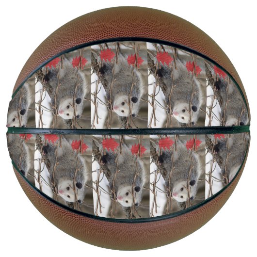 Basketbal Opossum Natuur (Voorkant)