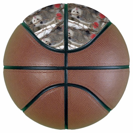 Basketbal Opossum Natuur (Rechts)