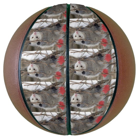 Basketbal Opossum Natuur (Verticaal)