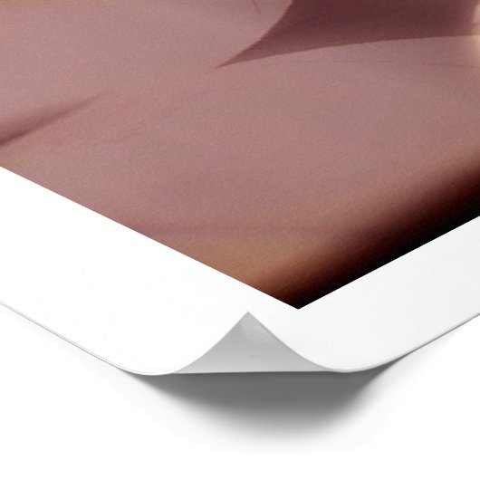 Basketball Ball Poster Print (Hoek)