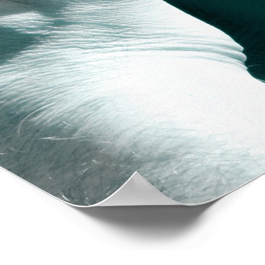  Basketball DE MAN CAVE Poster (Hoek)