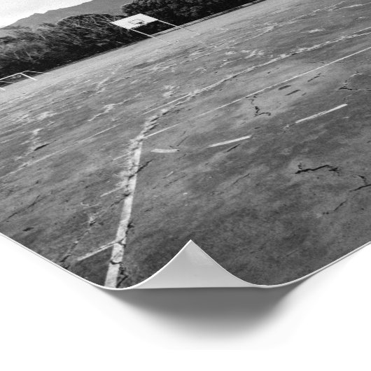 Basketball Hoop Poster (Hoek)