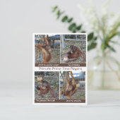 Basketball MVP Hoop Jokes Briefkaart (Staand voorkant)