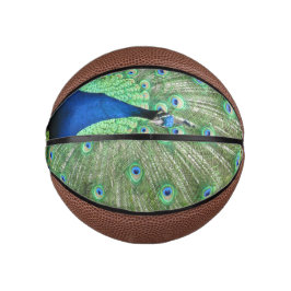 Basketball - Peacock met veren Basketbal