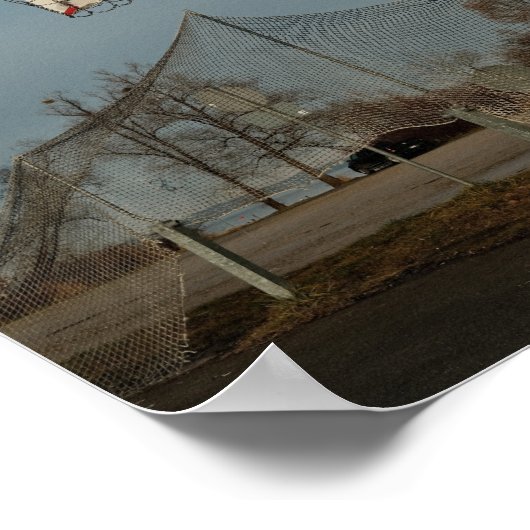  Basketball Poster (Hoek)