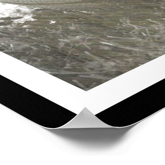 Basketball-Poster met offerte Poster (Hoek)