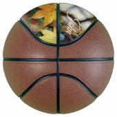 Basketball Squirrel Basketbal (Rechts)