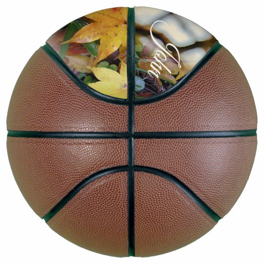 Basketball Squirrel Basketbal (Rechts)