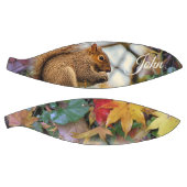 Basketball Squirrel Basketbal (Panelen)