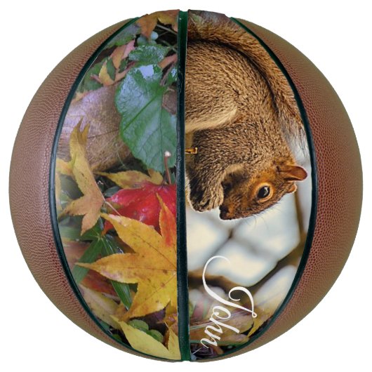 Basketball Squirrel Basketbal (Verticaal)