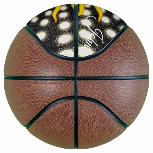 Basketball Sun Basketbal (Rechts)