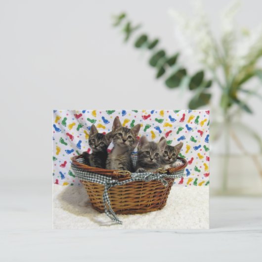 Basketful of Tabby Cats - Briefkaart (Staand voorkant)