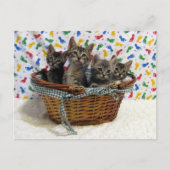 Basketful of Tabby Cats - Briefkaart (Voorkant)